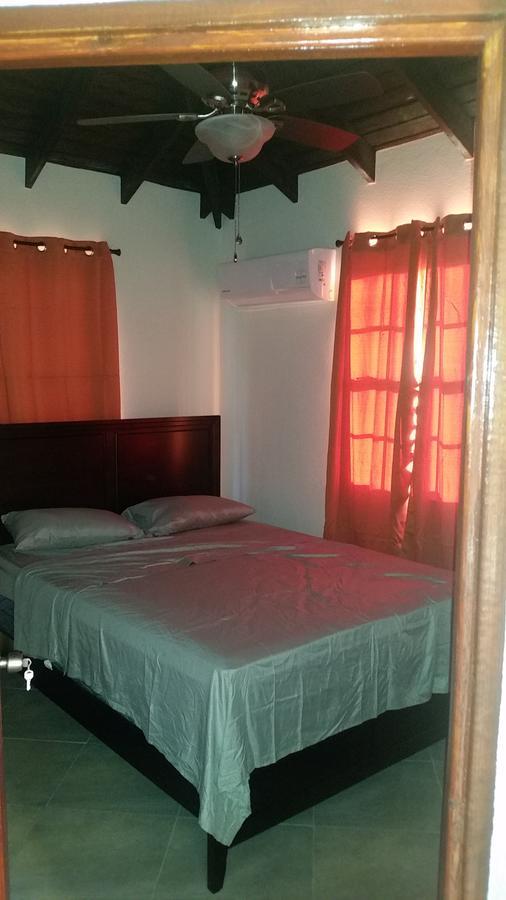 Frontline Apartments Christ Church Bagian luar foto